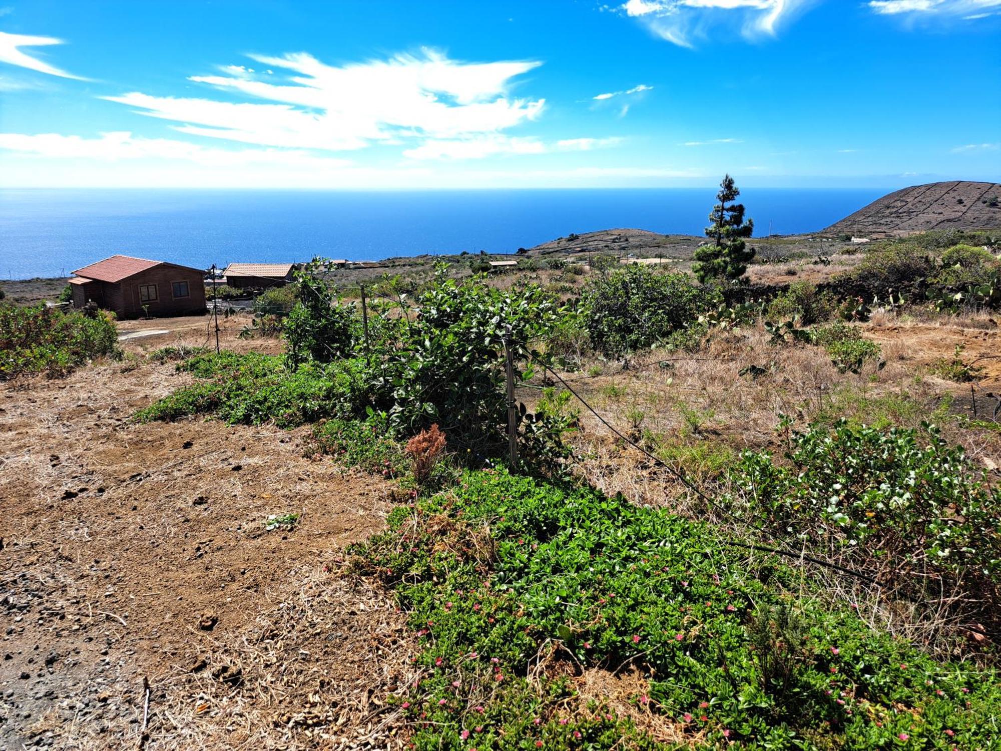Las Casitas De Pao El Pinar  Номер фото